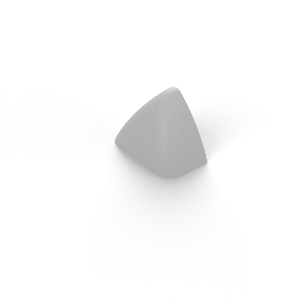 ear right view 2